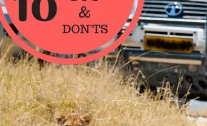 safari-dos-and-don'ts
